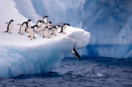 Go Ahead, Take the Plunge! Go Ahead, Take the Plunge!